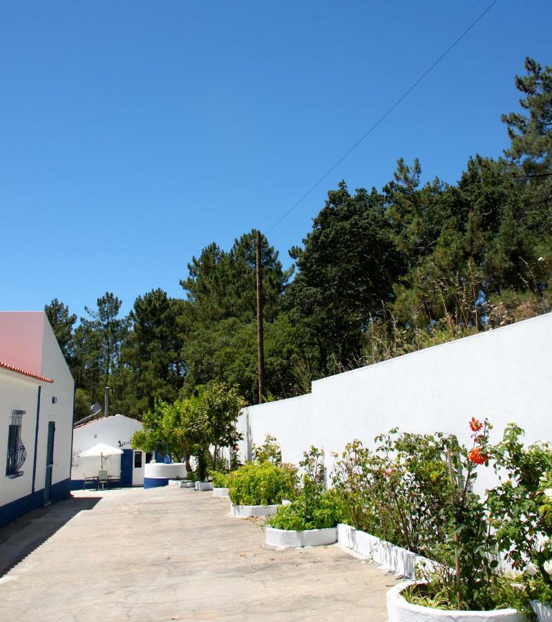 Casa Do Loureiro Branco Bed & Breakfast Santarem Exterior photo